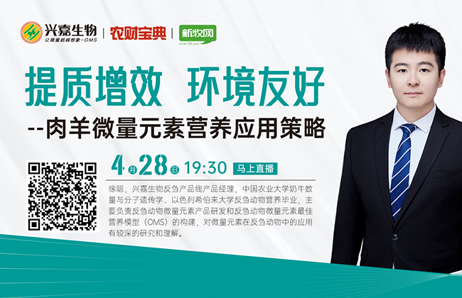 2022年反刍饲料产量超1616万吨！肉羊养殖需解决两大痛点，科学添加微量元素，全面提升生产水平